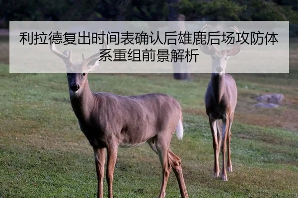 利拉德复出时间表确认后雄鹿后场攻防体系重组前景解析